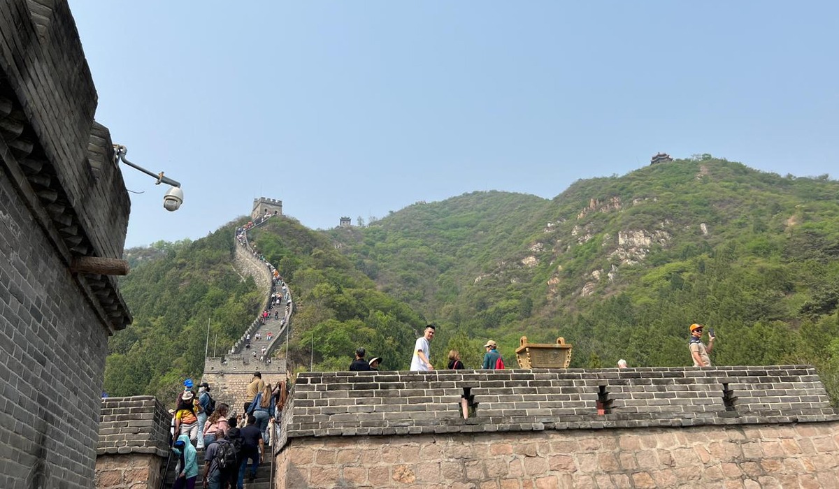 Догги стиліндегі есектің суреттері